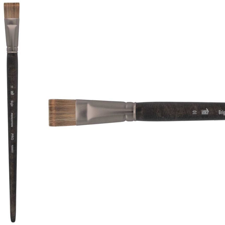 Princeton Pro Series 6000 Synthetic Brush - Bright, Long Handle, Size 10