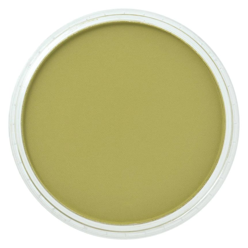 PanPastel™ Artists' Pastels - Bright Yellow Green Shade, 9ml