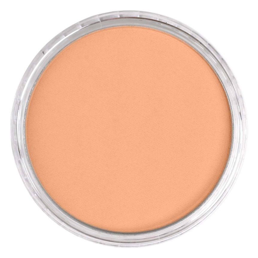 PanPastel Ultra Soft Artists' Painting Pastel - Burnt Sienna Light, 9ml