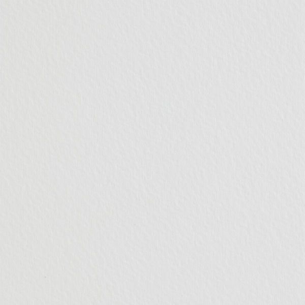 Canson Art Board Montval C.P. Board 16" x 20" (Pack of 5) Jerry's