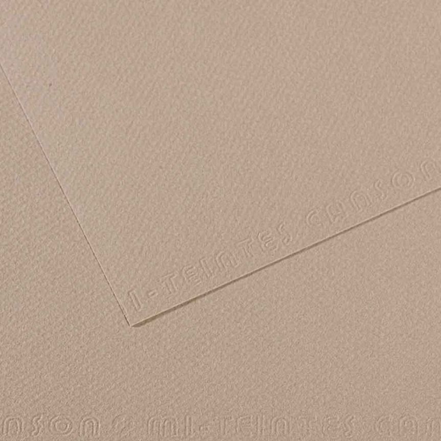 Canson Mi-Teintes Touch Sanded Paper, Flannel Grey (122) 