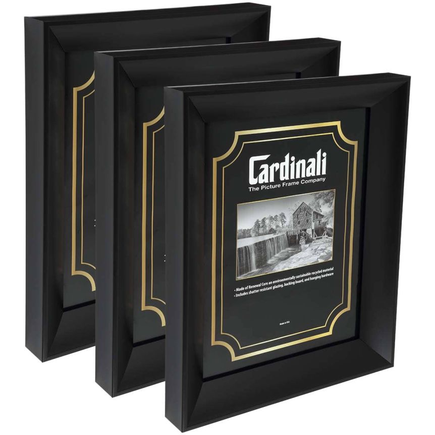 Expositions Frame - Black with Acrylic Glazing, 14”x18” Box of 3