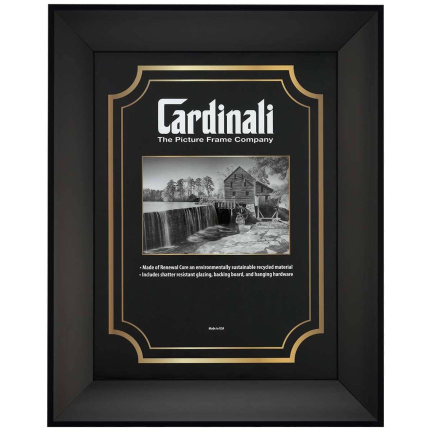 Expositions Frame - Black with Acrylic Glazing, 12”x16”