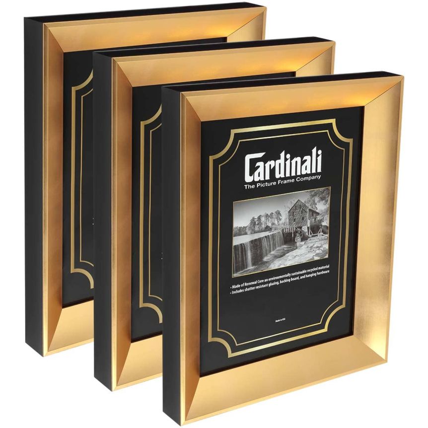 Expositions Frame - Gold with Acrylic Glazing, 8”x10” Box of 3