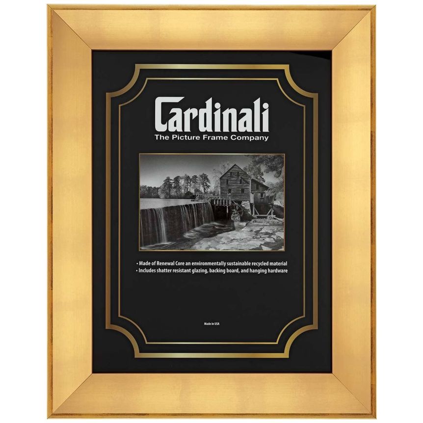 Expositions Frame - Gold with Acrylic Glazing, 20"x24"