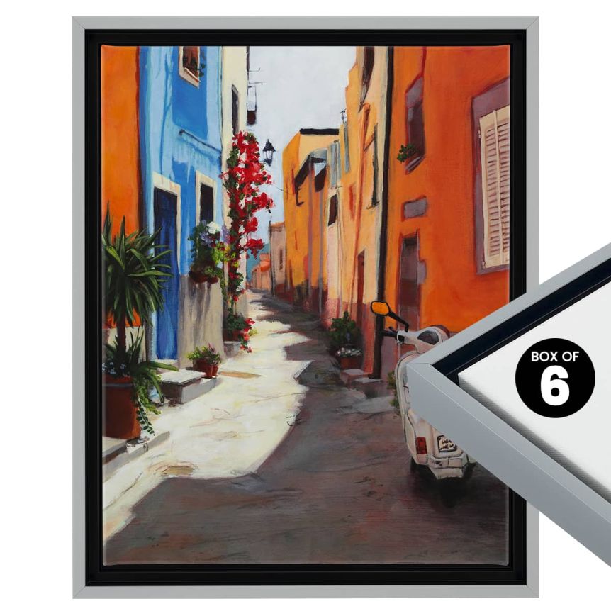 Cardinali Renewal Core Floater Frame, Cool Grey 9"x12" - 3/4" Deep  (Box of 6)