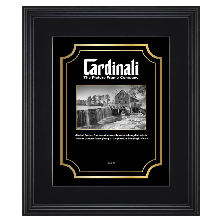 Cardinali Plein Aire Frame - Black w/ Acrylic Glazing and Cardboard Backing 16" x 20"