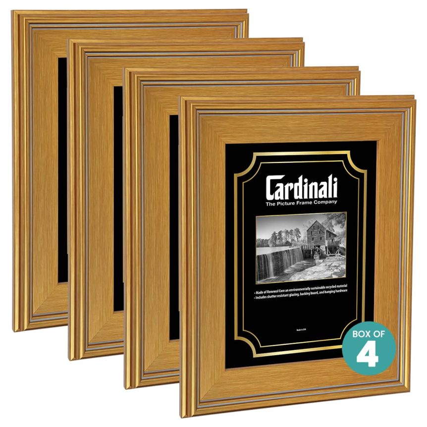 Cardinali Plein Aire Frame - Gold w/ Acrylic Glazing and Cardboard Backing 24" x 36" (Box of 4)