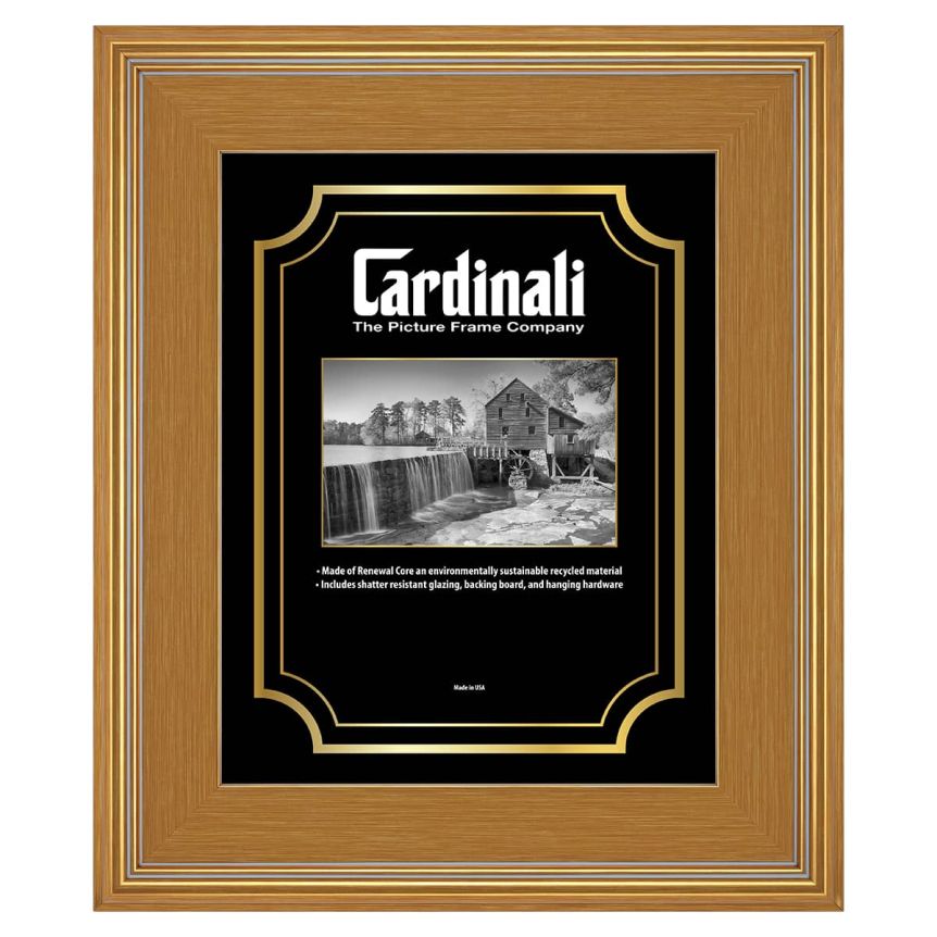 Cardinali Plein Aire Frame - Gold w/ Acrylic Glazing and Cardboard Backing 16" x 20"