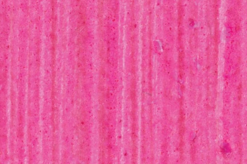 Phenomenon Shell Paper 5-Pack - Chinese Pink