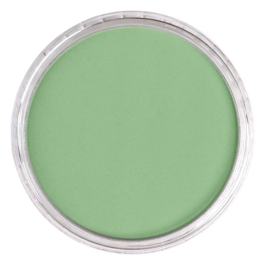PanPastel Ultra Soft Artists' Painting Pastel - Chromium Oxide Green Light, 9 ml