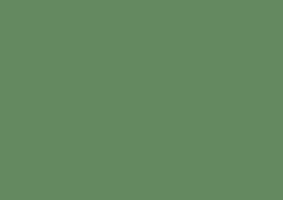 ShinHan TOUCH TWIN Art Marker Flexible Brush / Medium Chisel Tips - Deep Olive Green