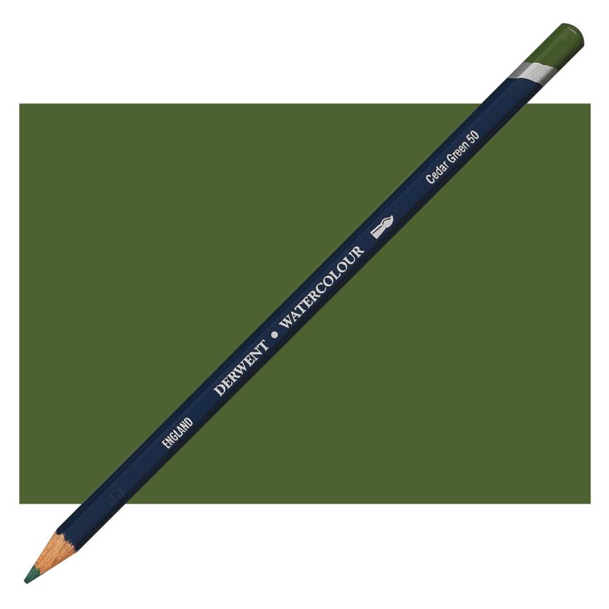 Derwent Watercolor Pencil Individual No. 50 - Cedar Green
