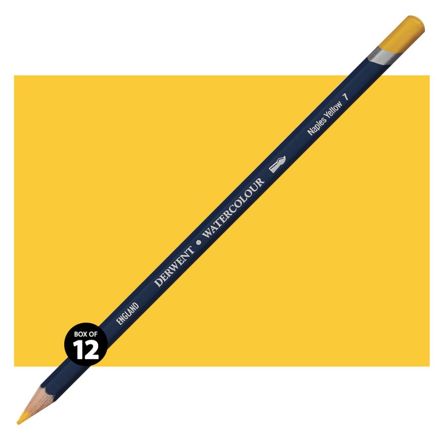 Derwent Watercolor Pencil Box of 12 No. 07 - Naples Yellow