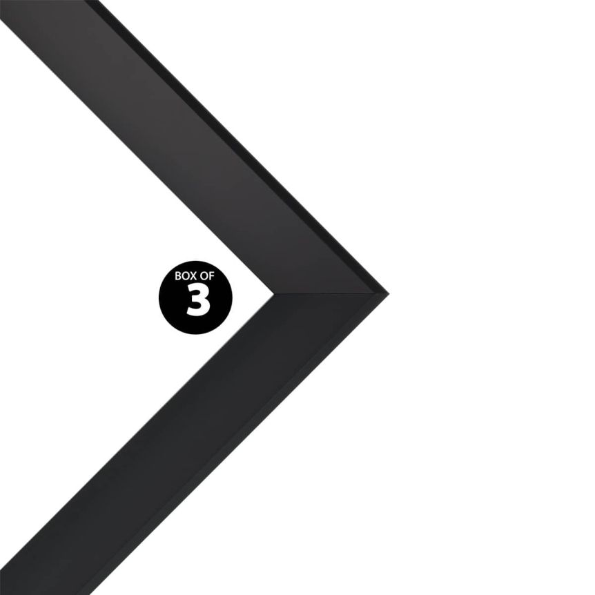 Expositions Open-Back Frame Black 14x18"-Box Of 3