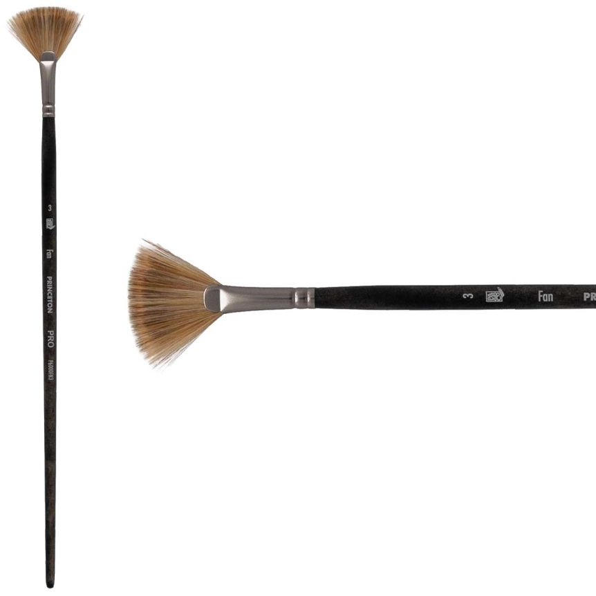 Princeton Pro Series 6000 Synthetic Brush - Fan, Long Handle, Size 3