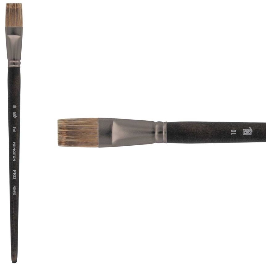 Princeton Pro Series 6000 Synthetic Brush - Flat, Long Handle, Size 10