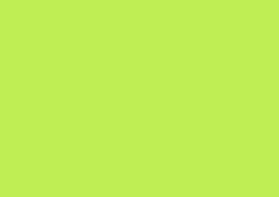 ShinHan TOUCH TWIN Art Marker Flexible Brush / Medium Chisel Tips - Fluorescent Green