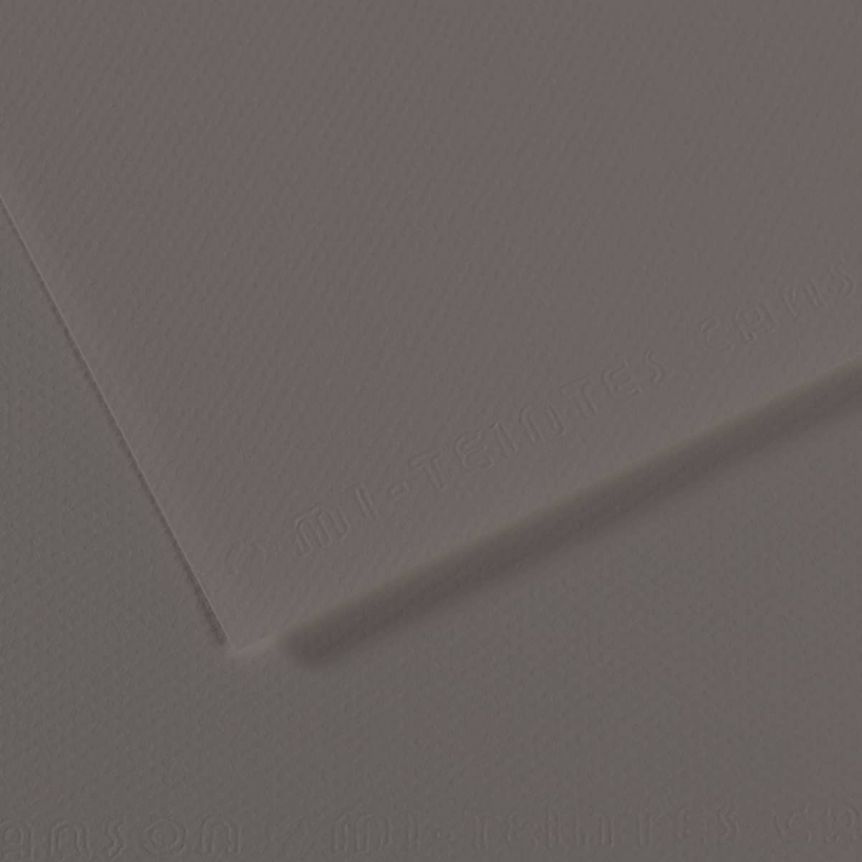 Graphite #185 Canson Mi-Teintes Paper 10pk 19x25 in 