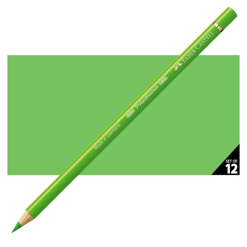 Faber-Castell Polychromos Pencil, No. 166 - Grass Green (Box of 12)