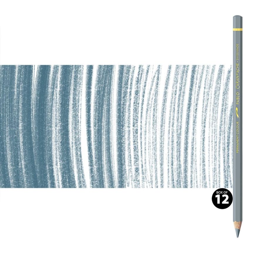 Caran d'Ache Pablo Pencils Set of 12 No. 005 - Grey