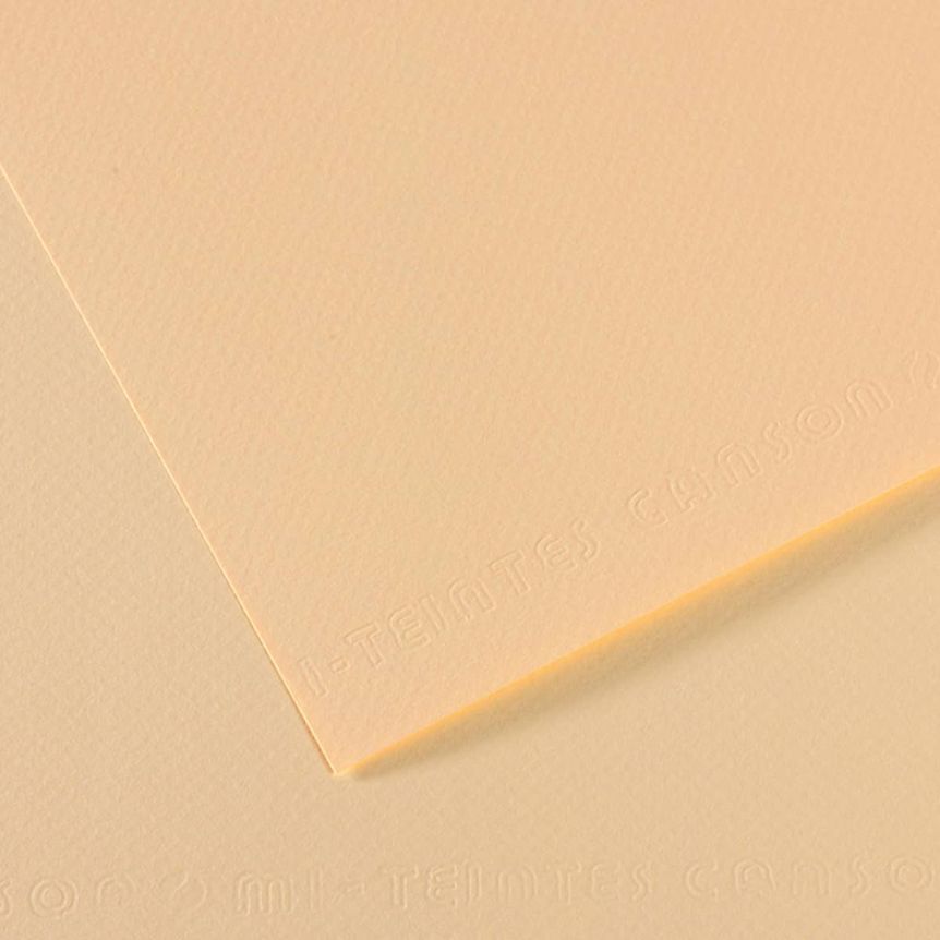Ivory/111 Canson Mi-Teintes Sheet 19" x 25" (Pack of 10)