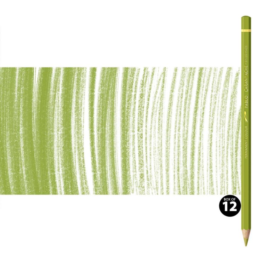 Caran d'Ache Pablo Pencils Set of 12 No. 016 - Khaki Green