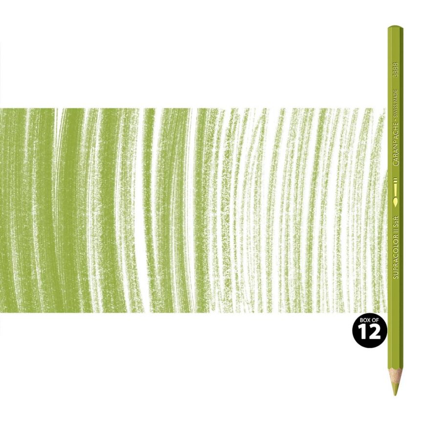 Supracolor II Watercolor Pencils Box of 12 No. 016 - Khaki Green