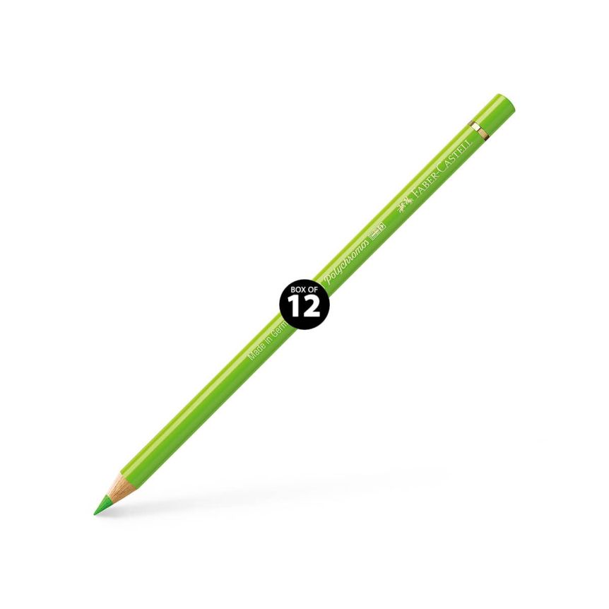 Faber-Castell Polychromos Pencil, No. 171 - Light Green (Box of 12)