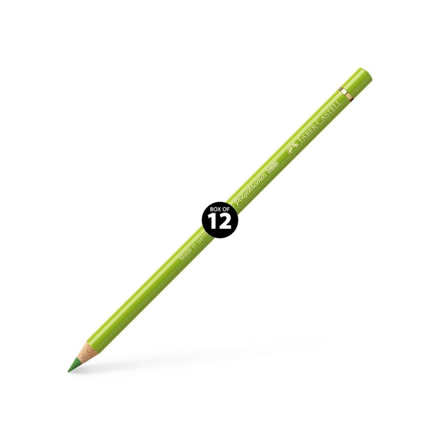 Faber-Castell Polychromos Pencil, No. 170 - May Green (Box of 12)