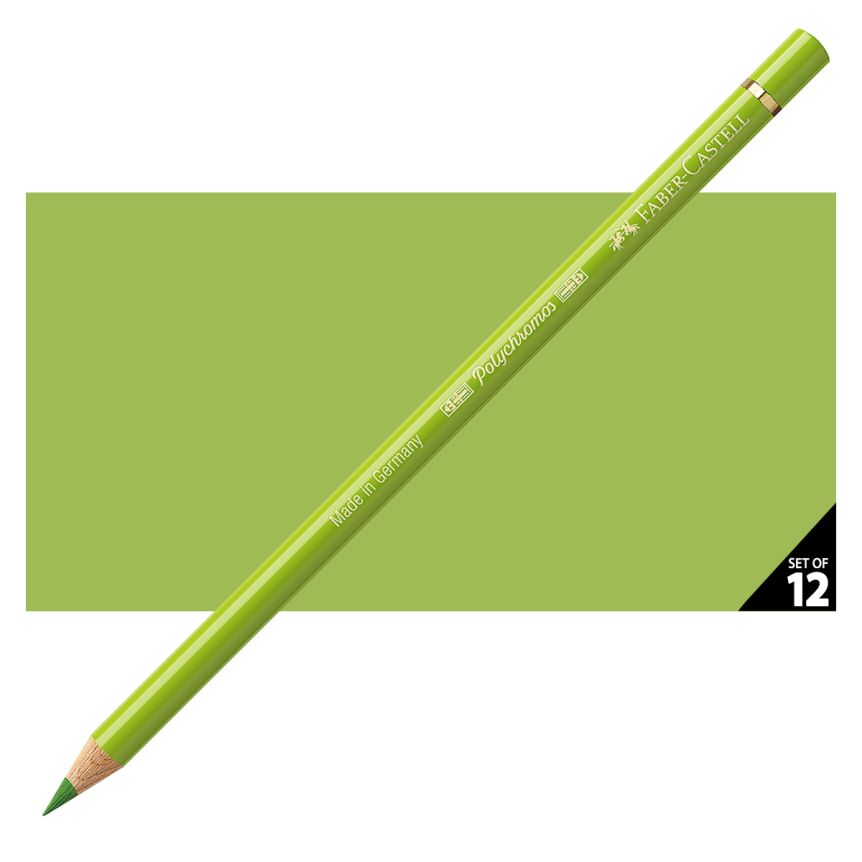 Faber-Castell Polychromos Pencil, No. 170 - May Green (Box of 12)