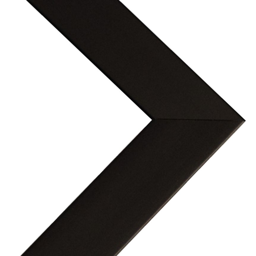 Millbrook Collection - Prague Black Frame w/ Acrylic Glazing and Cardboard Backing 16"x20"