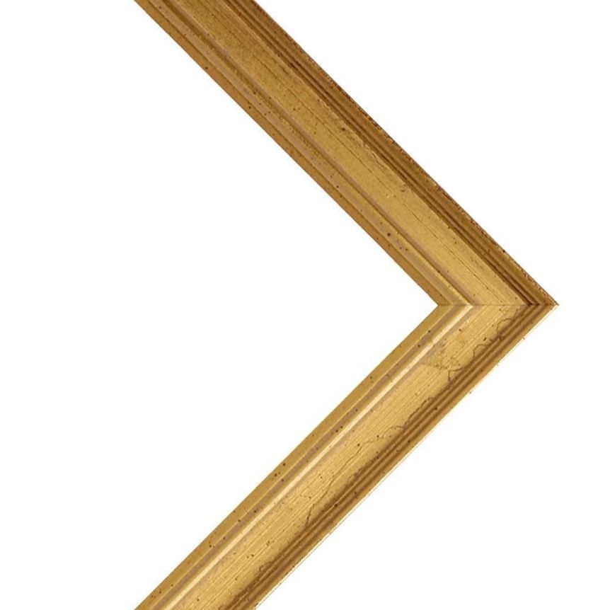 Millbrook Collection - Academy Gold Frame w/ Acrylic Glazing and Cardboard Backing 11"x14"