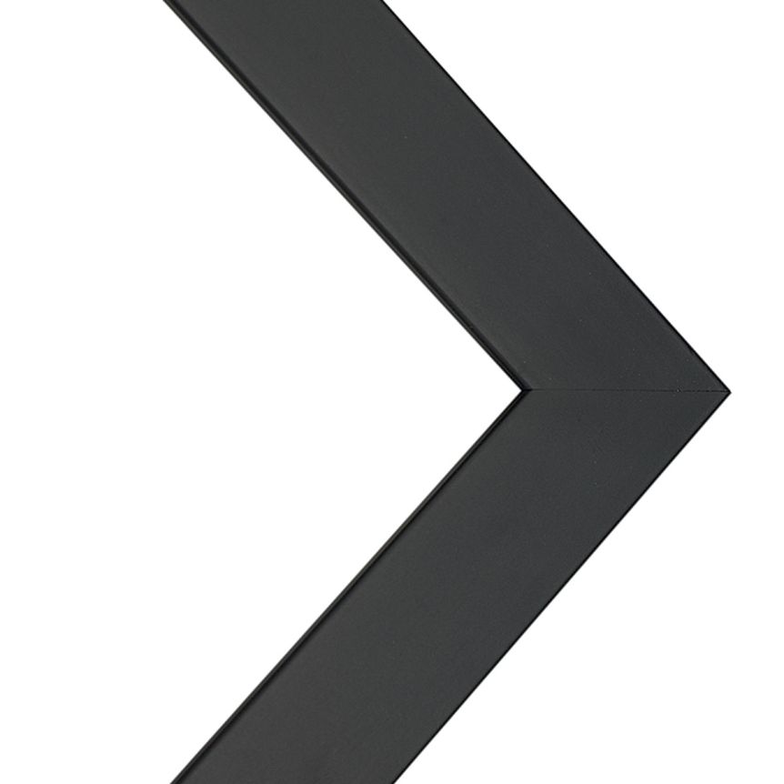 Millbrook Collection - Bismark Black Frame w/ Acrylic Glazing & Cardboard Backing 24" x 36"