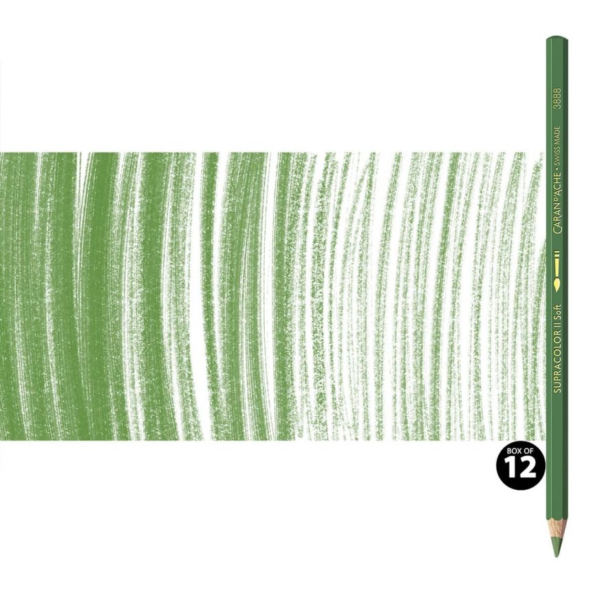 Supracolor II Watercolor Pencils Box of 12 No. 225 - Moss Green
