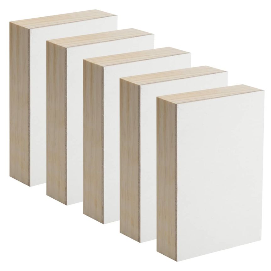 New York Central Professional Canvas Panel Box of 5 - Raphael Zinc-Free, 1-5/8" Deep 6x12
