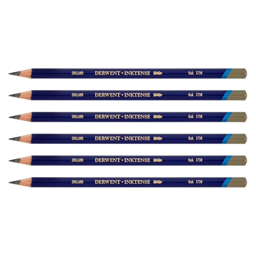 Derwent Inktense Pencil - Oak (Box of 6)