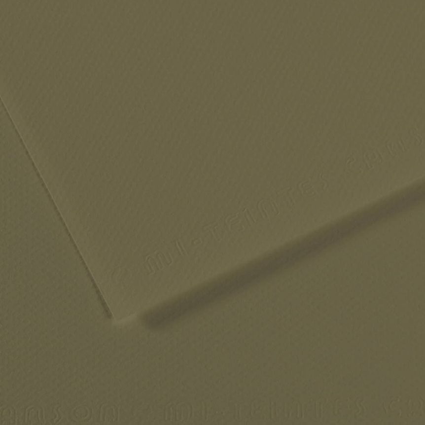 Olive Green #191 Canson Mi-Teintes Paper 10pk 19x25 in 