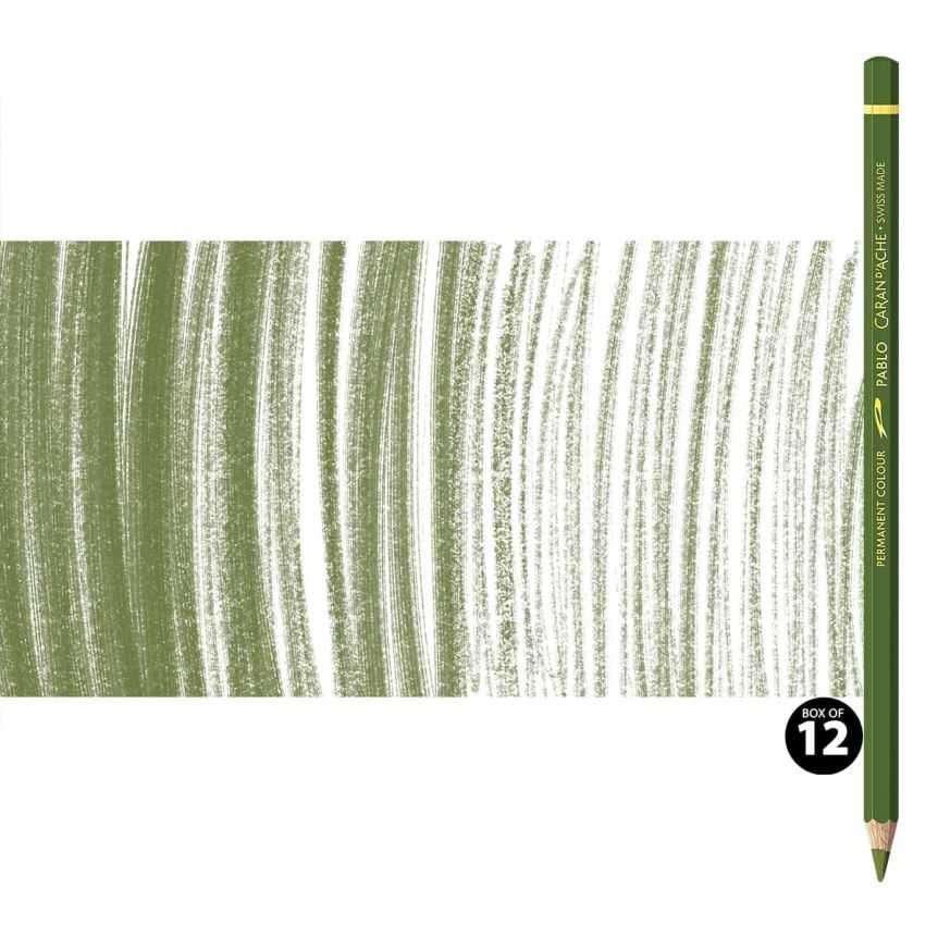Caran d'Ache Pablo Pencils Set of 12 No. 018 - Olive Grey