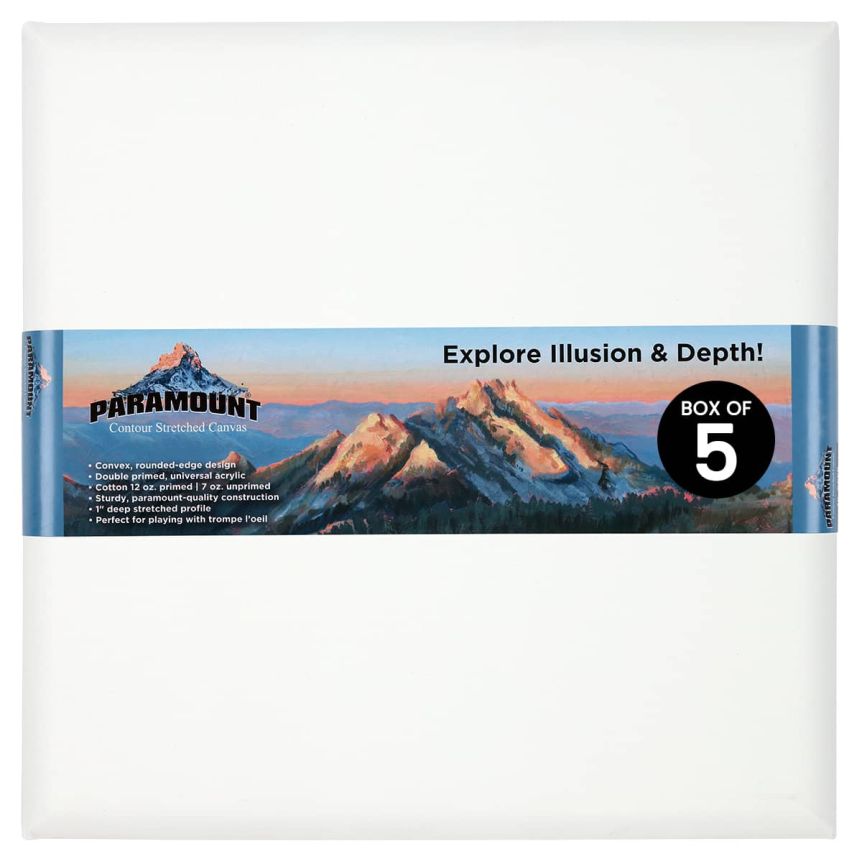Paramount Contour Stretched Canvas - Square Box of 5, size 20"x20"