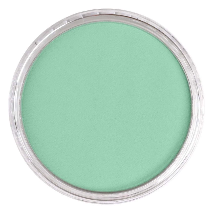PanPastel Ultra Soft Artists' Painting Pastel - Permanent Green Light, 9 ml