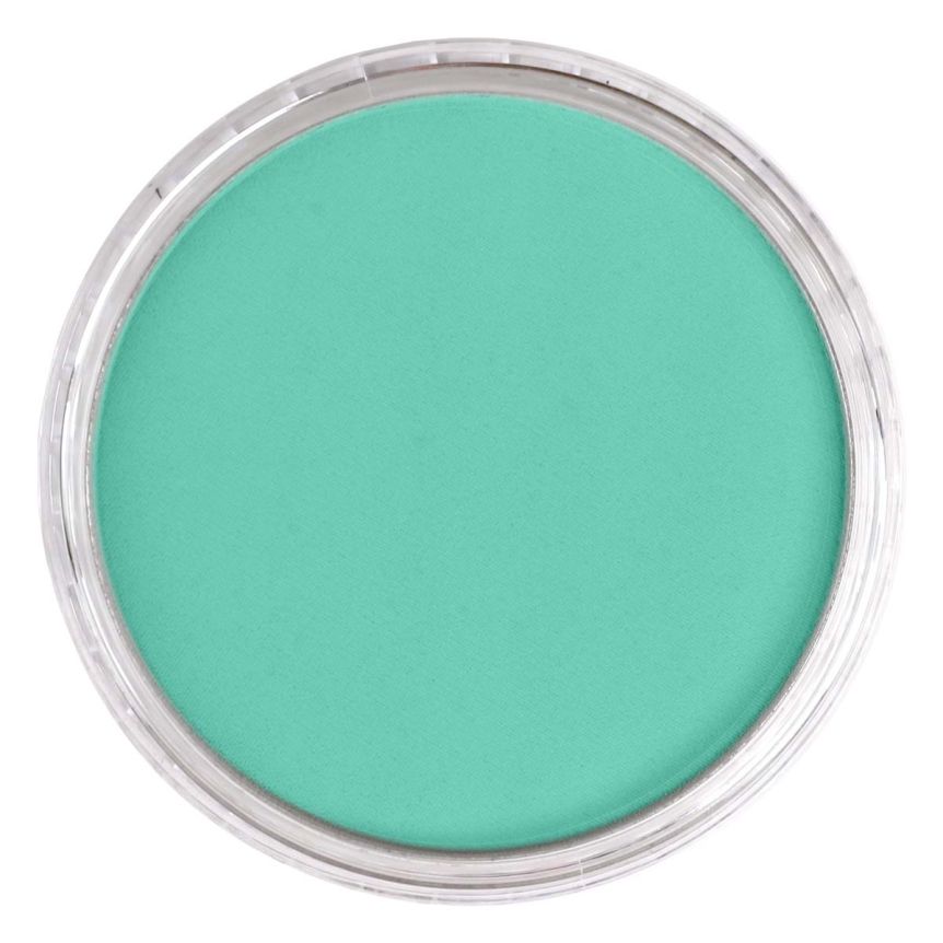 PanPastel Ultra Soft Artists' Painting Pastel - Phthalo Green Light, 9 ml