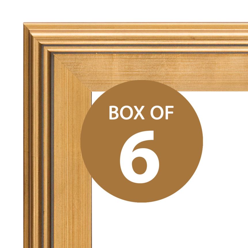Plein Aire Style Frames Boxes of 6