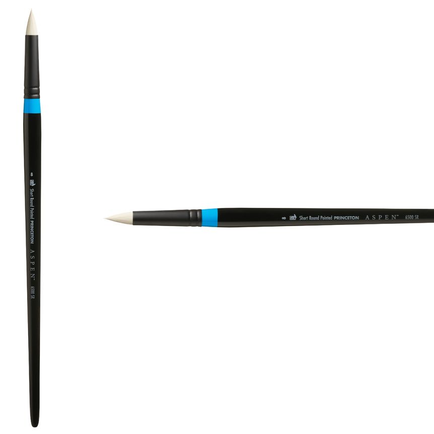 Princeton Aspen Series 6500 Synthetic Brush - Pointed Round, Long Handle, Size 8