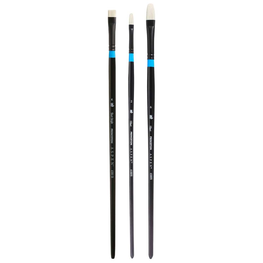 Princeton Aspen Series 6500 Synthetic Brush - Delights Set of 4, Long Handle