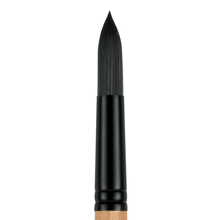 Princeton Catalyst Polytip Bristle Long Handle Round #6