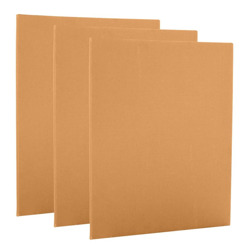 Paramount Pro-Tones Canvas Panel 8"x10", Sahara (Pack of 3)