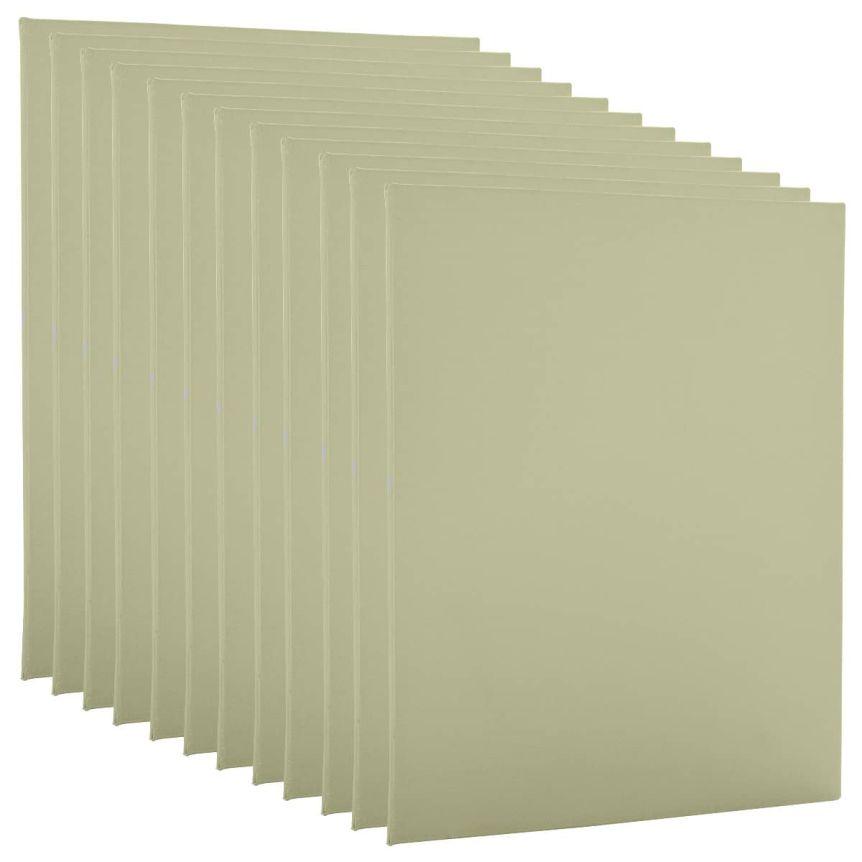 Paramount Pro-Tones Canvas Panel 12"x16", Seafoam (Box of 12)