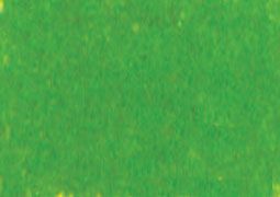 Art Spectrum Soft Pastel Individual Standard - Yellow Green (P)