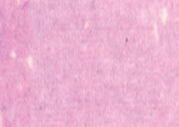 Art Spectrum Soft Pastel Individual Jumbo - Flinders Red Violet (X)